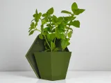 Geometric wall planter for herb gardens-2
