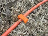 Extension Cord Tie Down Stake-1