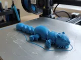 Squirrel Flexi-1