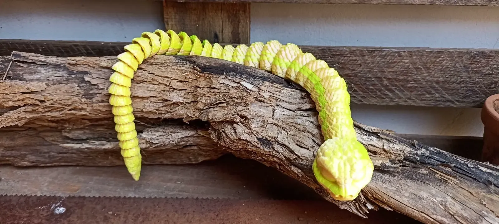 chibi flex snake