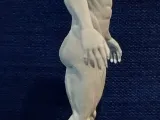 Erkek vücut anatomisi-4