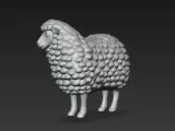 sheep-5