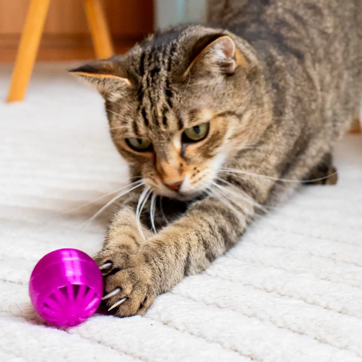 🐾 ZoomieBall – The Only Toy Your Cat Will Ever Need