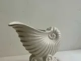 Sea shell-1