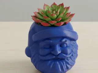 Santa Succulent Planter