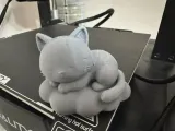 Cat Sleeping-4