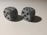 Rigged Dice-2