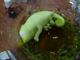 Chameleon (Nylon filament)-3