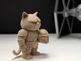 Grumpy Cat Mandalorian-2
