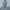 Jesus Christ.
