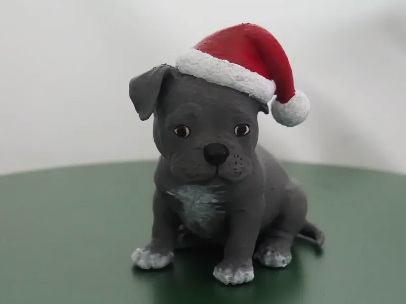 Kruimel - Engelse Stafford pup / Kruimel - English Stafford