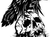 2D Crow Skull-0