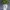 GHIVECI SCULL -IMPRIMARE ÎN LOC