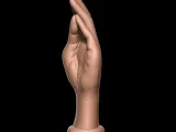 BUTT PLUG HAND - anal plug HAND-3