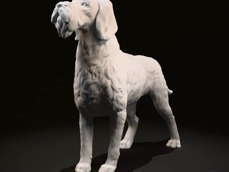 German Wirehaired Pointer (deutsch drahthaar)