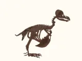🦤 dodo bird skeleton -0