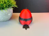 Cute Bird-5