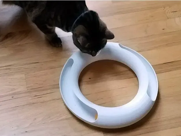Cat track toy