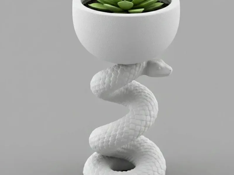 Snake Plant Pot Design