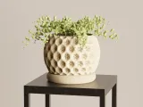 Planter with dripping tray-3