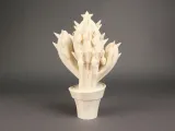 Christmas Cactus -0