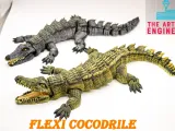 cocodrilo flexi-4
