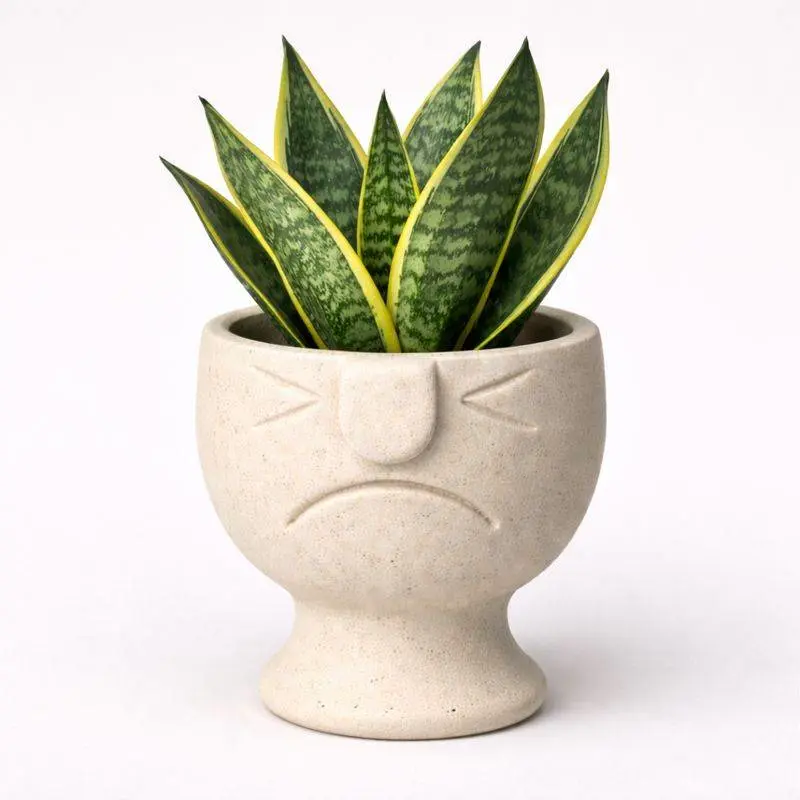 Face Pot Planter - Succulent - Cactus - Potus