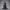 Seraphine Velora – Midnight Masquerade Edition