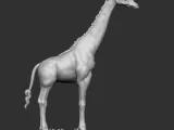 GIRAFFE-3