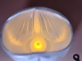 Seashell Night Light-5