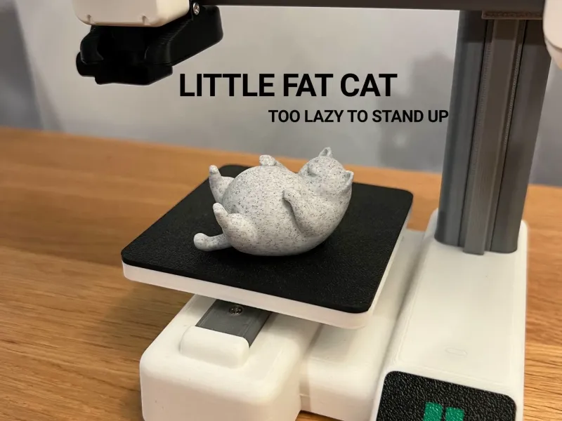 Little Fat Cat
