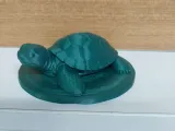 Turtle No Support - Kaplumbağa Destek Yok-1