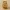 Organic Lattice Pen Holder / Candle Holder
