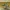 EMB-314 (A-29B SUPER TUCANO ADV) TWINS PACK V3