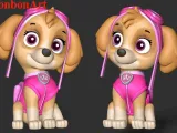 Skye PAW Patrol-1