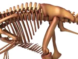 Utahraptor Skeleton – Highly Detailed Prehistoric Dinosaur 3-7