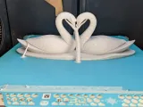 Swan Love-2