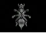 Buggy-5