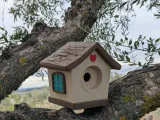 Cute Bird House-7