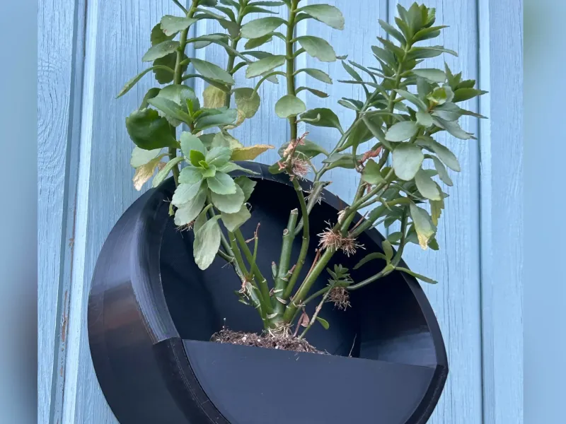 Wall-Mounted Planter / Plant Pot - Outdoors or Indoors