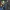 Mega Man Battle Network