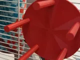 Budgie spin toy-0