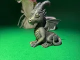 Kleiner Walddrache-5