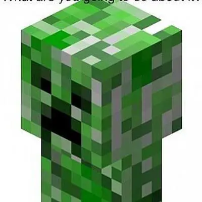 creeper fidgettoy