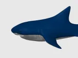 Tiger Shark, Keychain-0