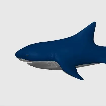 Tiger Shark, Keychain