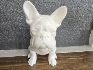 frenchie bulldog