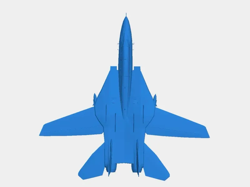 F14 Tomcat ( Calling it My Baby 👶 )