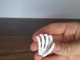 Skeleton Hand-2