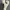 Renault Zoe Trunk side hook